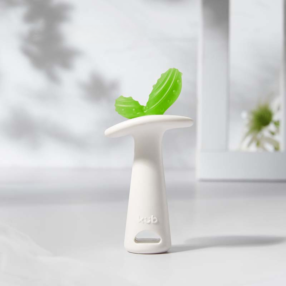 KUB Staged Baby Teether - Sprout