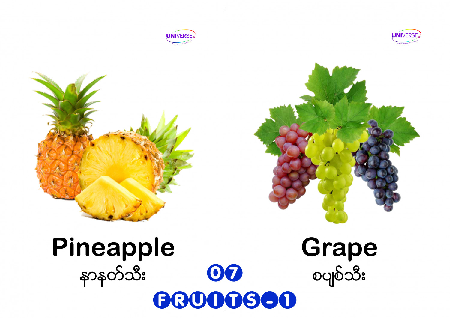 Universe Fruit 1 Flashကဒ်